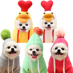 Cozy Fruit Pet Hoodie - Image 2