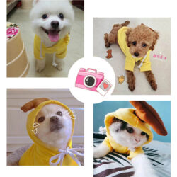 Cozy Fruit Pet Hoodie - Image 5
