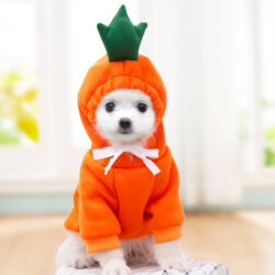 Cozy Fruit Pet Hoodie - Image 9