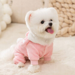 Cozy Rabbit Halloween Hoodie - Image 6