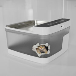 Portable Pet Water Dispenser - Image 4