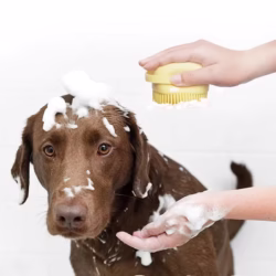 Silicone Pet Bath Brush - Image 2