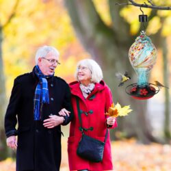 Hand-Blown Glass Hummingbird Feeder - Image 2