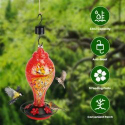 Hand-Blown Glass Hummingbird Feeder - Image 10
