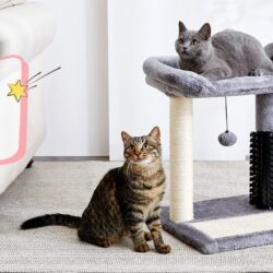 Mini 4-in-1 Cat Tower - Image 8