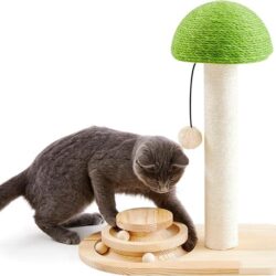 Mushroom Cat Scratch and Play - Image 1