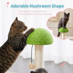 Mushroom Cat Scratch and Play - Image 2