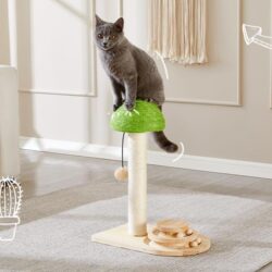 Mushroom Cat Scratch and Play - Image 6