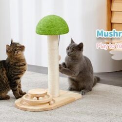 Mushroom Cat Scratch and Play - Image 3