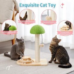 Mushroom Cat Scratch and Play - Image 5