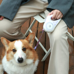 Spotlight Retractable Pet Leash - Image 2