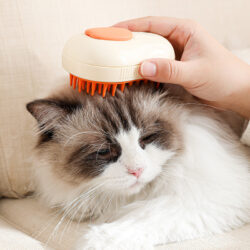 Steamy Avocado Pet Brush - Image 2