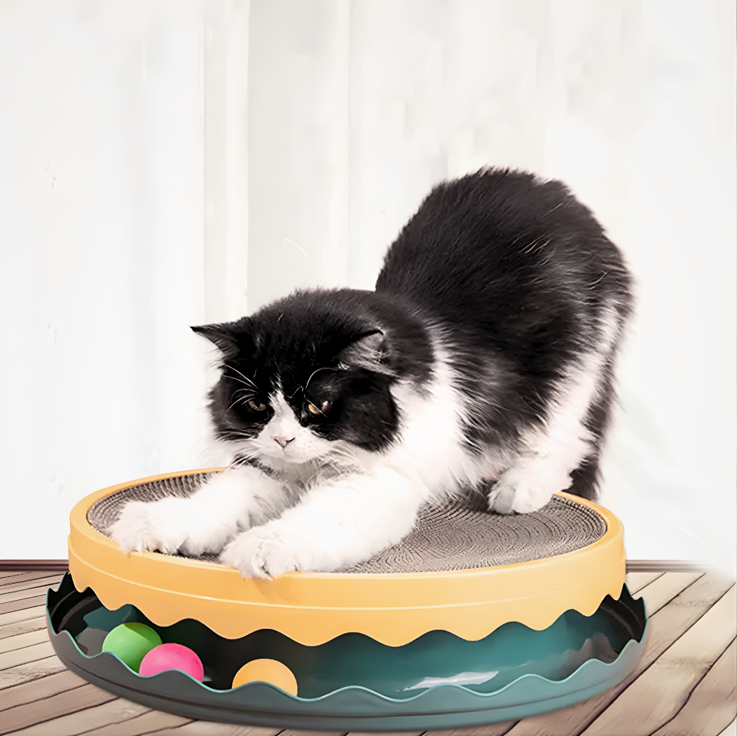 Interactive Compass Cat Scratcher