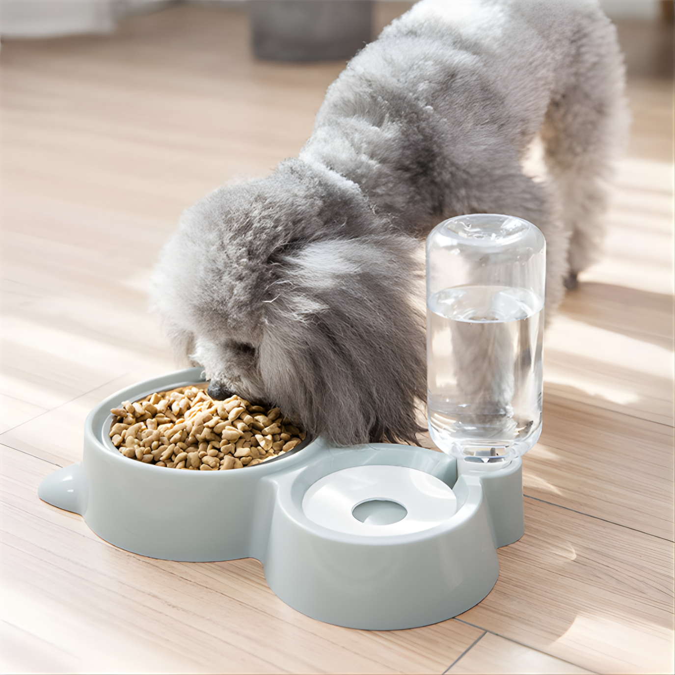 Everyday Comfort Dog Bowl